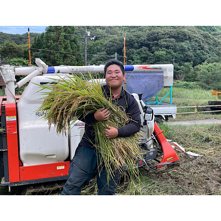 自然栽培米山口県美祢産ミルキークイーン新米20キロ 自然栽培米山口県美祢産ミルキークイーン新米20キロ